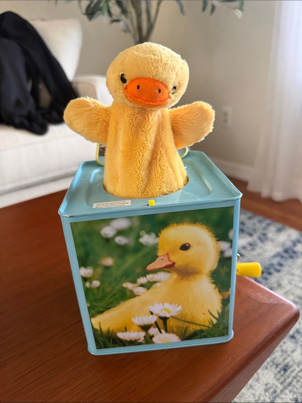 Yellow Duck Hand Puppet Jack-in-the-Box Plush Toy
